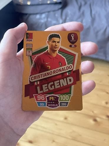 oyun disk: Panini Adrenalyn XL FIFA 365 futbol kartları kolleksiyası - Mövzu — 3