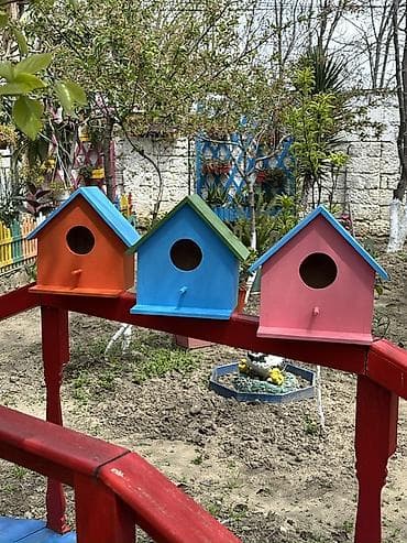 quş yuvası düzəltmək: Məhsul: Rəngarəng taxta quş yuvaları Təsvir: - Bağ, həyətyanı sahə və — 1