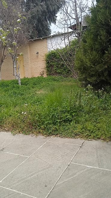 suraxanı emircan: Həyət evləri və villaların satışı — 2