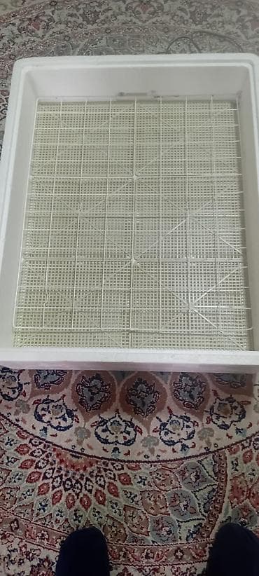 İnkubatorlar: 100 yumurta, Rusiya, Tam avtomat — 3