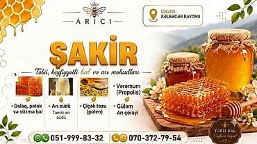 bal arısı satışı: 🍯✅ Yüksək keyfiyyətli Kəlbəcər balının və arı məhsullarının tək — 8