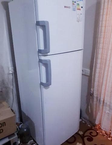 xaladenik beko: ALTUS TECILI TEZEDU — 1