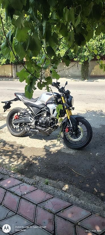 niva qapi uzluyu: - ÇİN 250 sm3, 2023 il, 3474 km — 10