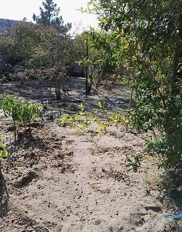 torpaq yeri: 4 sot, Tikinti, Mülkiyyətçi, Kupça (Çıxarış) — 1