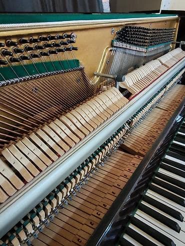 real gitara: Piano, Akustik, Yeni, Ünvandan götürmə — 5