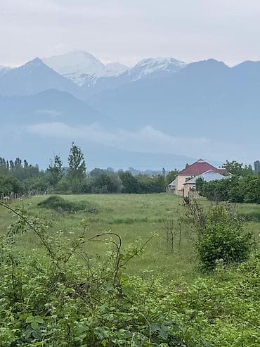 quba torpaq: 87 sot, Tikinti, Mülkiyyətçi, Kupça (Çıxarış) — 7