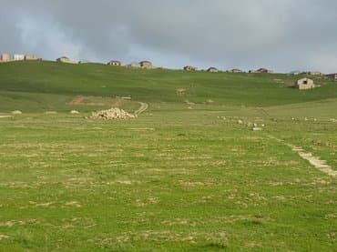 bine atcılıq: 80 sot — 2