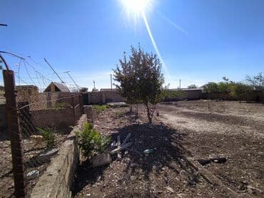 şıxovda torpaq sahəsi: 6 sot, Kənd təsərrüfatı, Kupça (Çıxarış) — 12