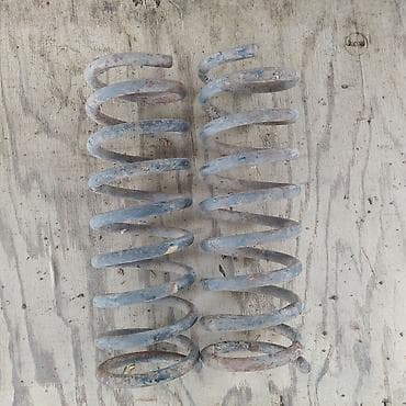 kuza vaz: Yaylar yaxşı vəziyyətdədir — 3