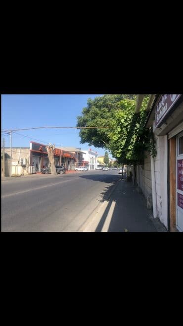 ev alqi satqi gence: 3 sot, Biznes üçün, Mülkiyyətçi, Kupça (Çıxarış), Bələdiyyə — 2