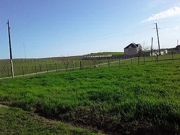 razin kiraye evler: 12 sot, Tikinti, Maklerlər narahat etməsin, Kupça (Çıxarış) — 3