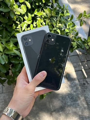 IPhone 11, Qara