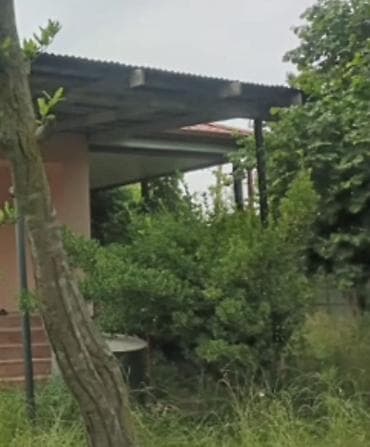 Bağ evlərinin satışı: Bakı, 15000 kv. m, 3 otaqlı, Hovuzsuz, Qaz, İşıq, Su — 3