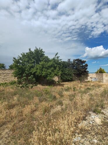 binə emlak: 17 sot, Tikinti, Maklerlər narahat etməsin, Kupça (Çıxarış) — 12