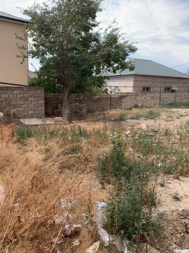 dübəndi torpaq: 5 sot, Tikinti, Makler, Kupça (Çıxarış) — 4