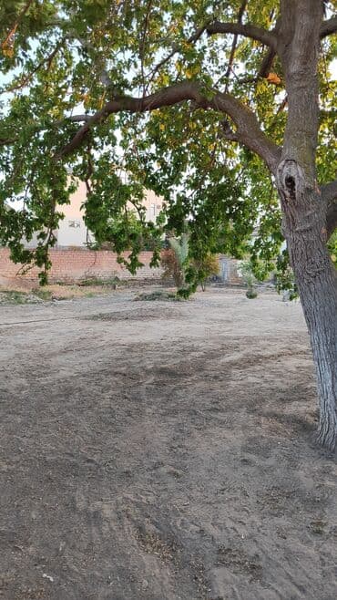 xacmaz dasinmaz emlak: 9 sot, Tikinti, Müqavilə — 3