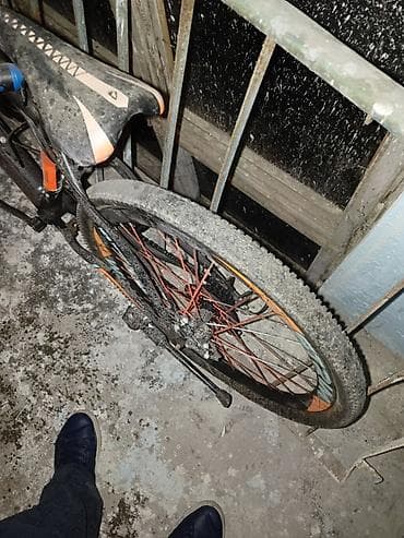 veli: Velosebet yaxşı vəziyyətdədir problemi skorusa çətin keçməyidi başqa — 5