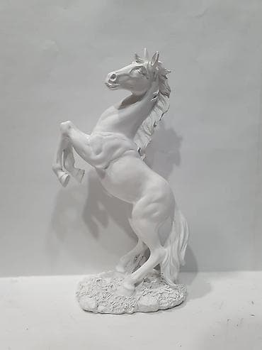 Otaq bitkiləri: Fiqur — 7