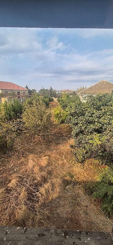 evlər: Satılır: Biznes ücün torpaq sahəsi Şirvan şəhəri, Əzizbəyov küçəsi — 1