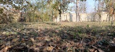 quba amsar: 4 sot, Maklerlər narahat etməsin, Kupça (Çıxarış) — 2