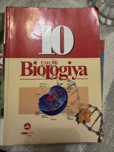 банк тестов по физике 1 часть: Statistika kitabı — 36