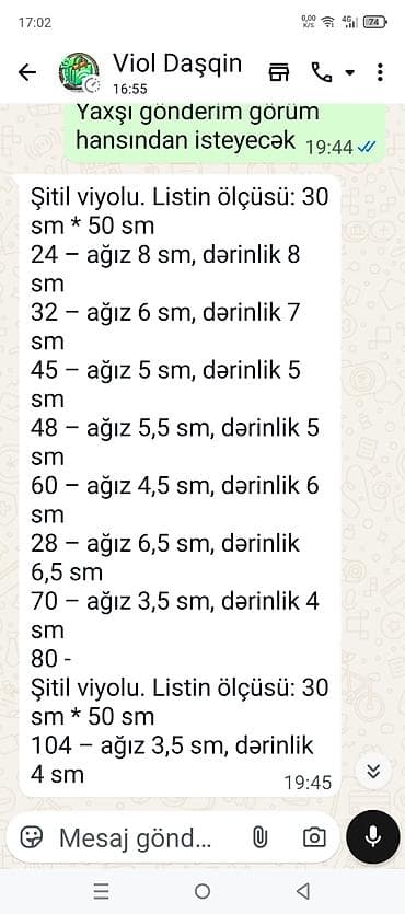 Şitil viyolası – peşəkar fidan yetişdirmə üçün plastik çoxgözlü