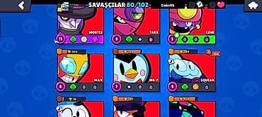 usag maneji: İşlənmiş, Cins: Qız, Yaş: 1-6 ay, Ünvandan götürmə — 4