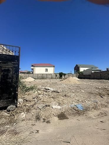 20 sot, Tikinti, Kupça (Çıxarış) — 4