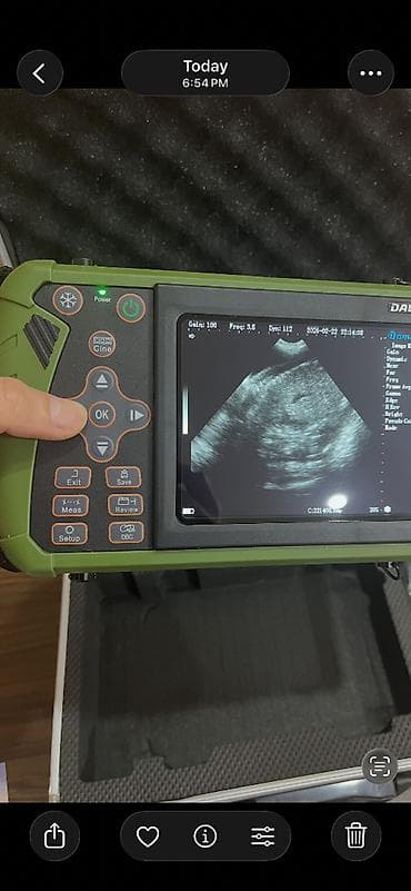 inek sagan aparat: Kiçik baş heyvanların (qoyun, keçi) boğazlığını yoxlamaq üçün istifadə — 4