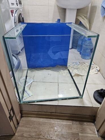 купить аквариум: Şüşə akvarium korpusu - Ölçülər təxmini: kvadrat formaya yaxın — 1