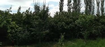 kiraye evlər: 3 otaqlı, 132 kv. m, Kredit yoxdur, Yeni təmirli — 12