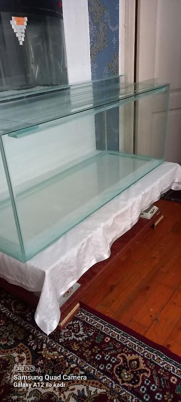 K/t heyvanları və malları: Salam istənilən ölçüdə akvarium və terariumlar yığıram nömrədə vhatsap — 8