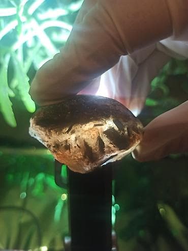 bakida hava saatliq: Təbii Göyərçin Qanı Daşı Satılır | Premium Pigeon Blood Original — 9