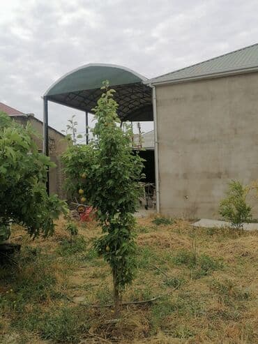 lerikdə ev satılır: Təci̇li̇ satilir ünvan : saray əkin təyinatlı çıxarış evin ümumi — 6