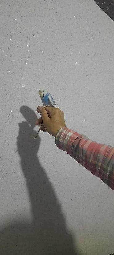 qus sesleri: Ələ öyrəşmiş quşdu kim isdese videolarinida ataram baxar — 9