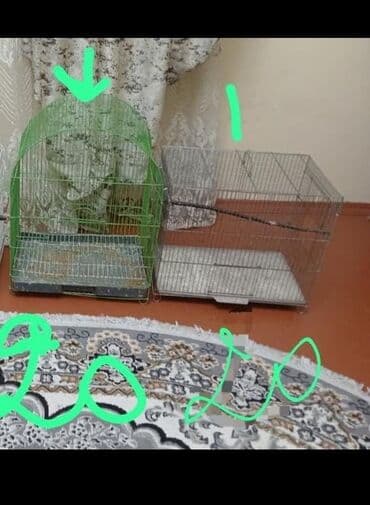 большая клетка для попугая: Quş qəfəsləri və aksesuarları - Dəst 1: Qəfəs + yuva + su qabı + — 1