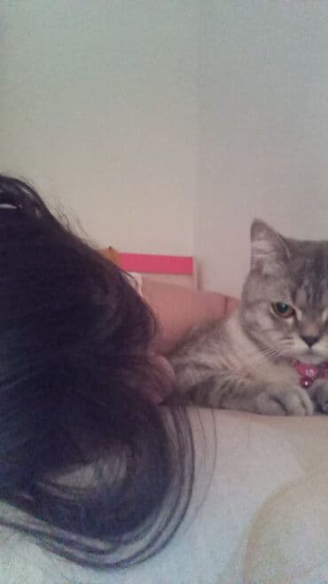 VAZ (LADA): Tabbi — 1