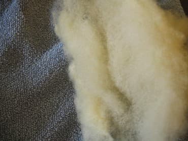 yun darağı: Yun sintifon, pambiq diden aparat Yun, sintifon pambiq diden aparat — 2