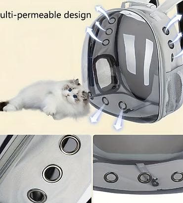 Грызуны: Satılır heyvanlar üçün şəffaf kürək çantası (pişik, kiçik it və digər — 2