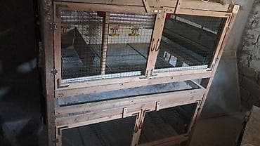 İki mərtəbəli quş qəfəsi/ferma stendi - Karkas: taxta konstruksiya