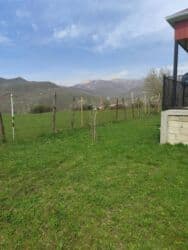 аренда частного дома: 2 otaqlı — 22