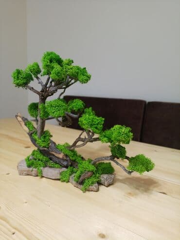 qizil destleri 2021: Təbii mamır və ağacdan hazırladığım bonzay agaci.hədiyyə üçün — 4