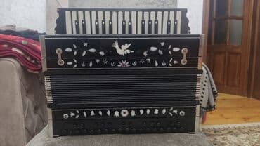аккордеон уйронуу бишкек: Akustik Akkordeon — 4