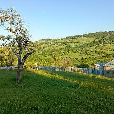 digah heyet evleri: Tikinti — 6