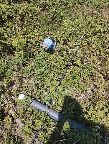 samovar 10 litr: Fındıq tingləri və bağ sahəsi.Xacmaz rayonu Tikan oba kəndi.Kəndə — 5