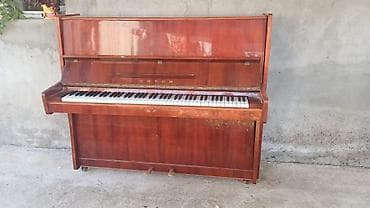 Музыкальные инструменты: Upright pianino – “Vyatka” markalı - Korpus: qəhvəyi cilalı ağac — 5