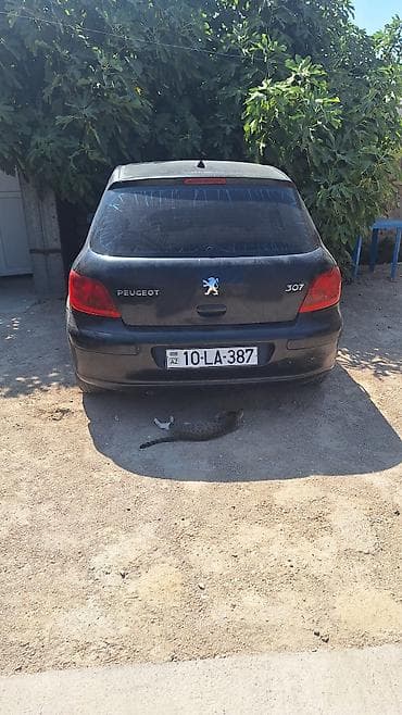 Peugeot 307, hetçbek, qara rəng. - Kuzov: 5 qapılı hetçbek, arxa “307” lalafo.az -da Peugeot 307, hetçbek, qara rəng. - Kuzov: 5 qapılı hetçbek, arxa “307”