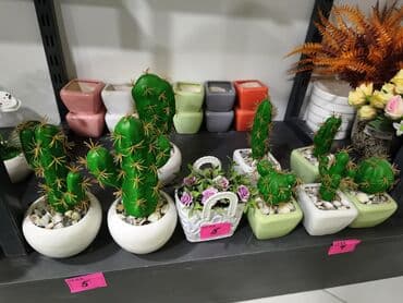 metbex qablari: Dekorativ süni kaktus kompozisiyaları - Realistik görünüşlü, tikan — 1