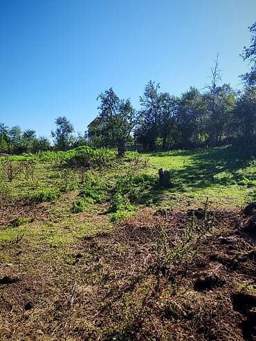 zaqatalada satilan evler: Kənd təsərrüfatı — 8