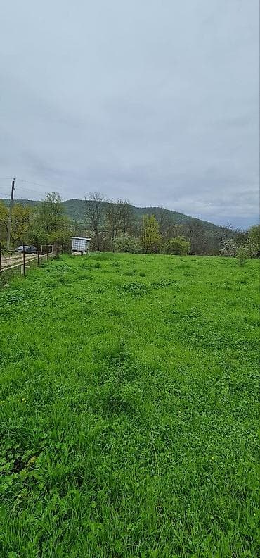 cıdır düzü: 12 sot, Tikinti — 1